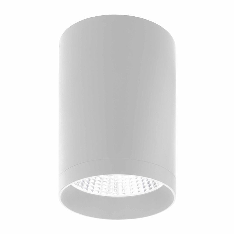 Westgate Lighting CMC6-MCTP-DD-WH  Ceiling Mount Outdoor White