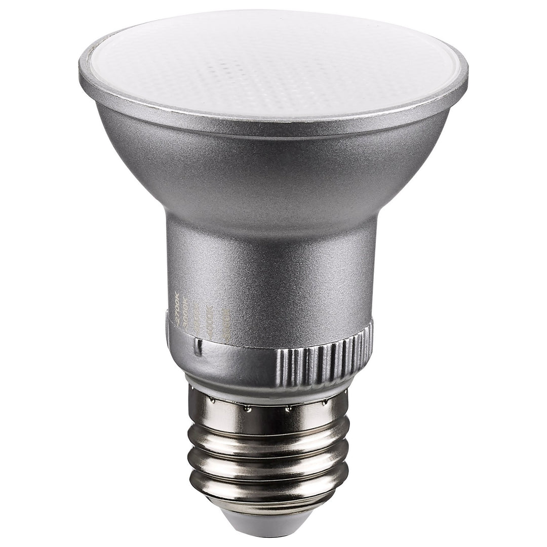 Satco Lighting S11580   Light Bulb Silver