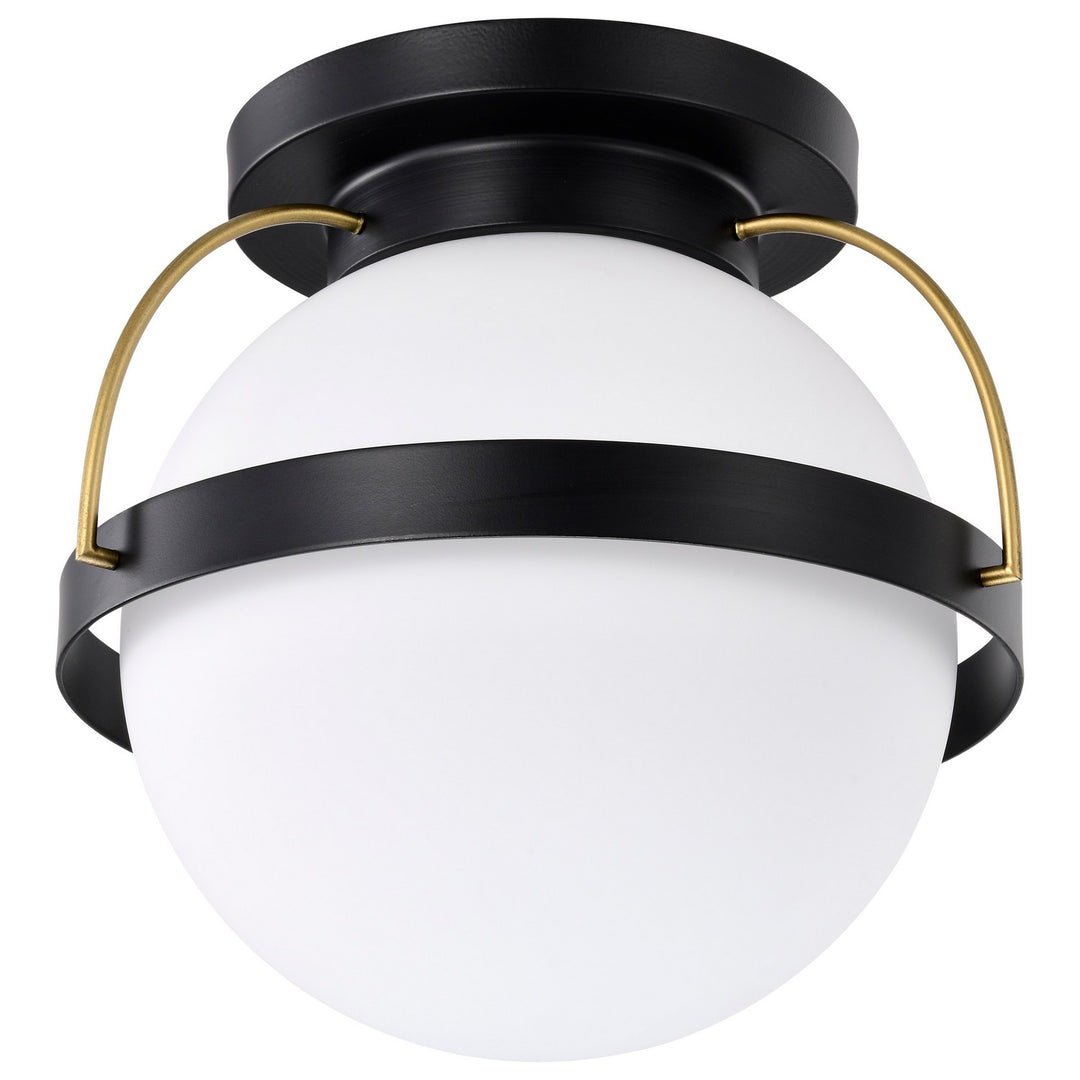 Nuvo Lakeshore 60-7771 Ceiling Light - Matte Black