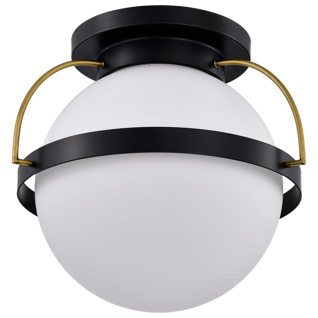 Nuvo Lakeshore 60-7772 Ceiling Light - Matte Black