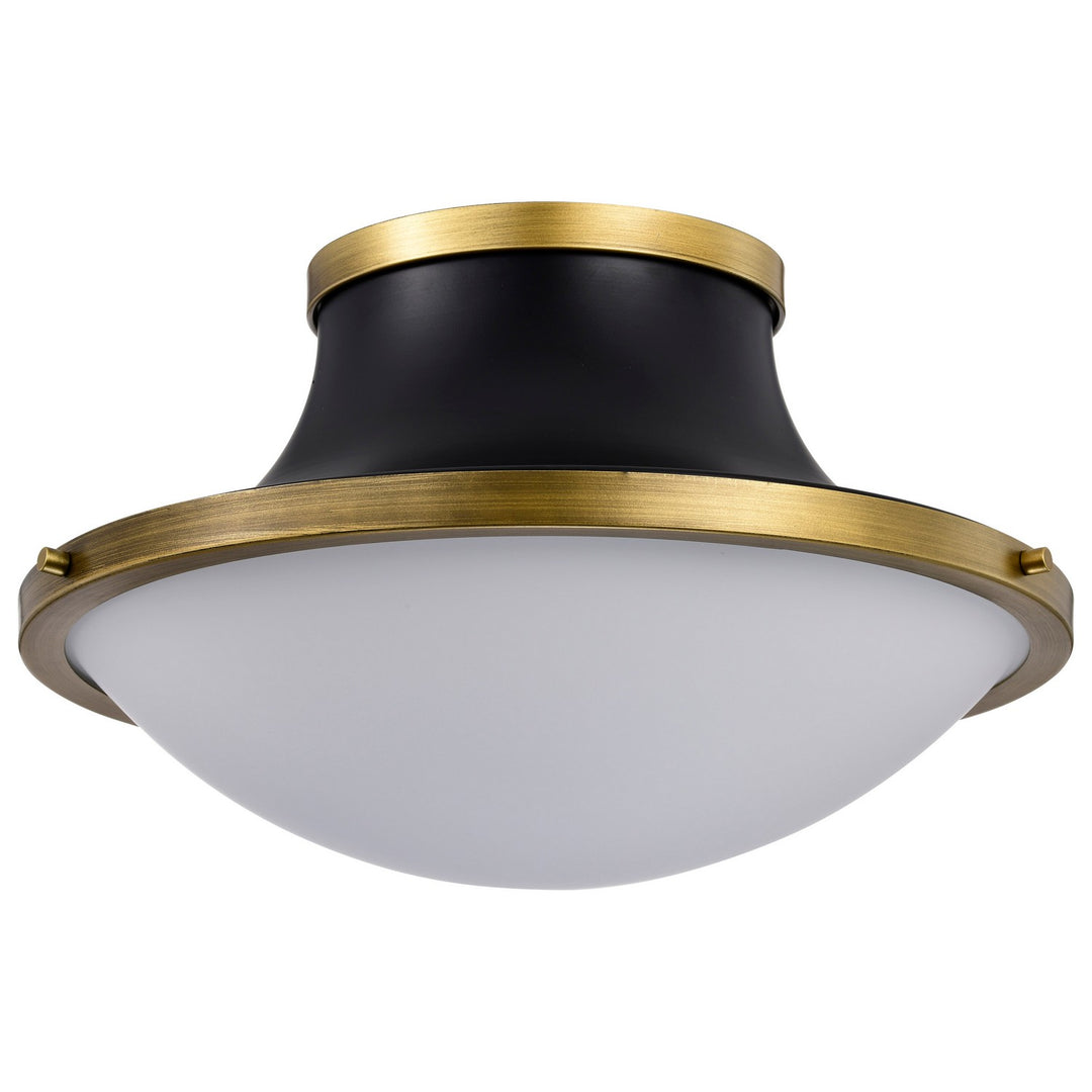 Nuvo Lafayette 60-7906 Ceiling Light - Matte Black
