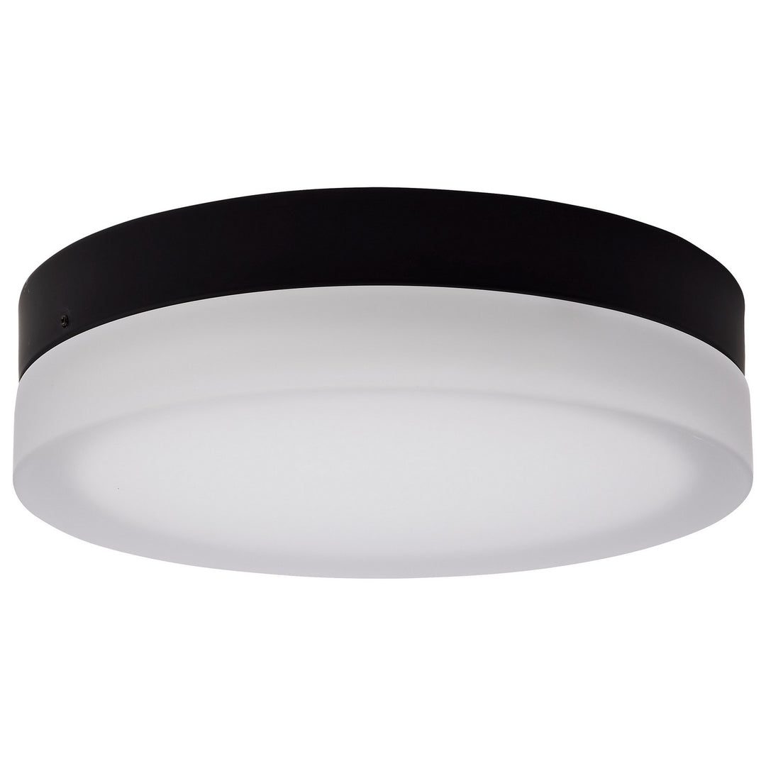Nuvo Pi 62-569 Ceiling Light - Black