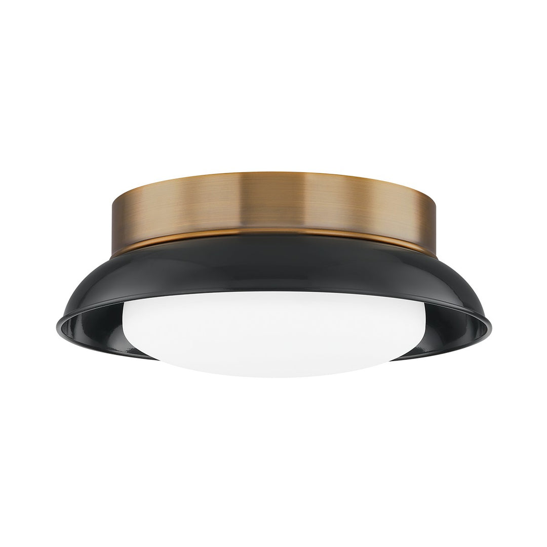 Troy Arnie C2014-PBR/GBK Ceiling Light - Patina Brass