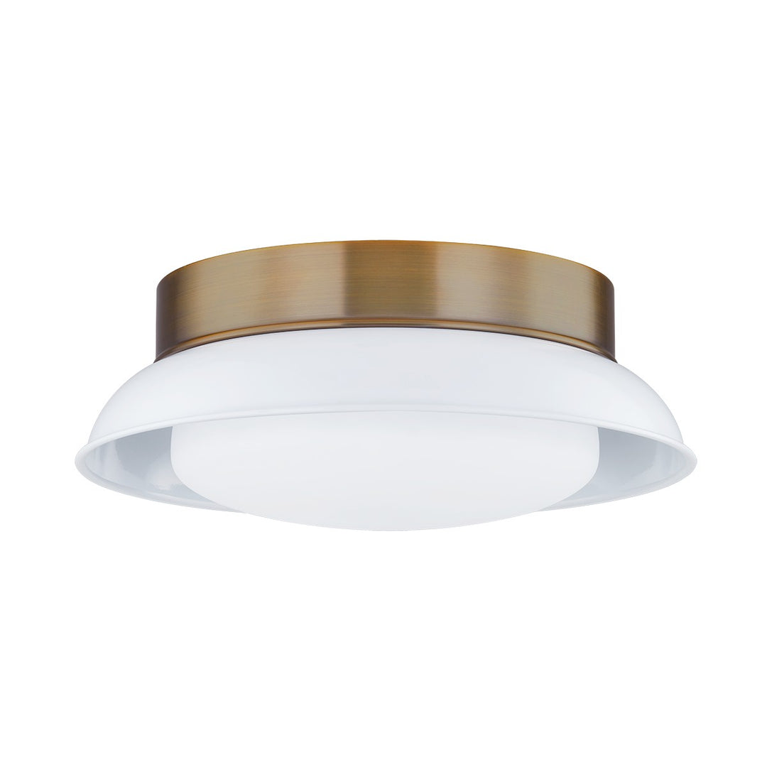 Troy Arnie C2014-PBR/GWH Ceiling Light - Patina Brass