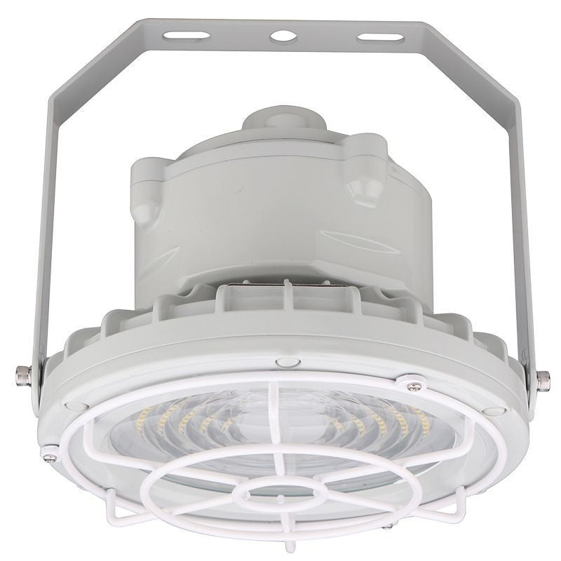 Westgate Lighting EXPR-30-60W-WGF  Flat Wire Guard Decor White