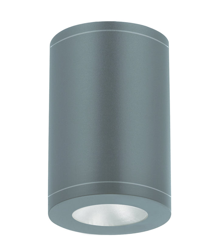 WAC Tube Arch DS-CD0517-F27-GH Ceiling Light - Graphite