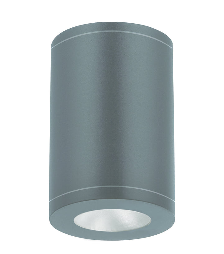 WAC Tube Arch DS-CD0517-F30-GH Ceiling Light - Graphite