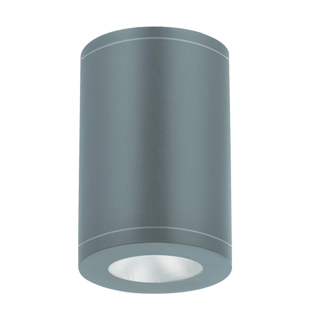 WAC Tube Arch DS-CD0517-F40-GH Ceiling Light - Graphite