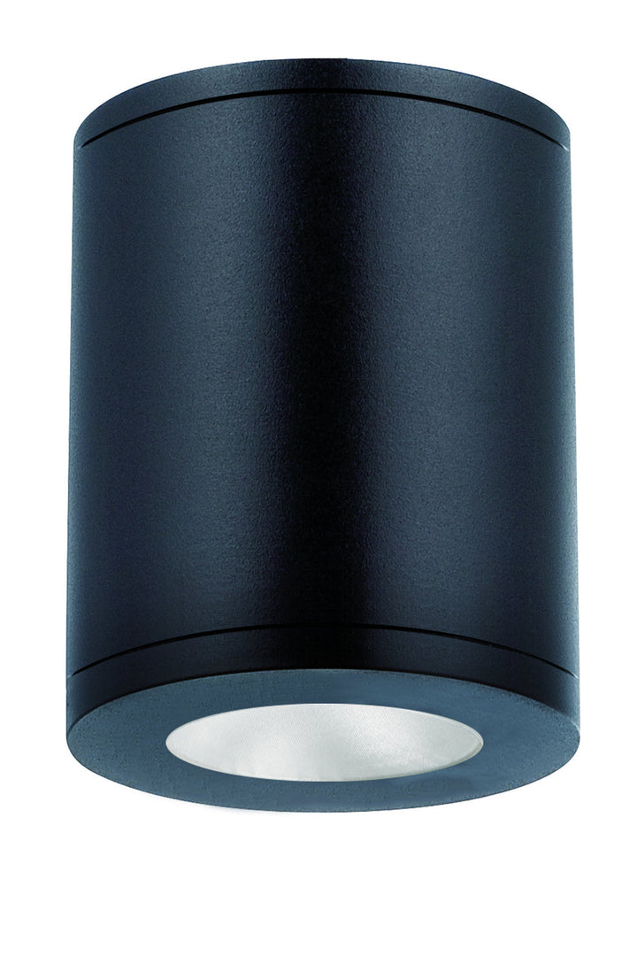 WAC Tube Arch DS-CD0834-S27-BK Ceiling Light - Black