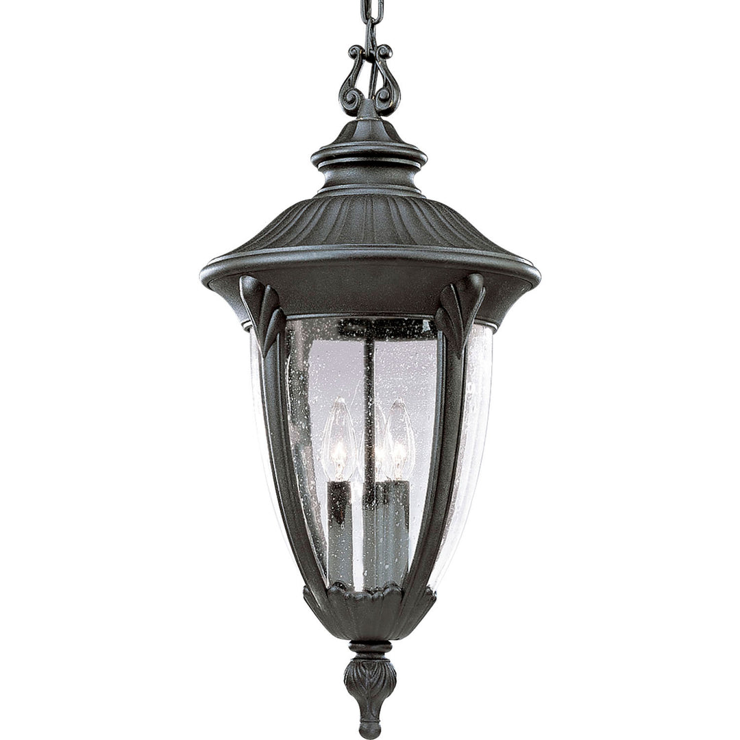 Progress Lighting P5520-31 Meridian Three Light Hanging Lantern Outdoor Black