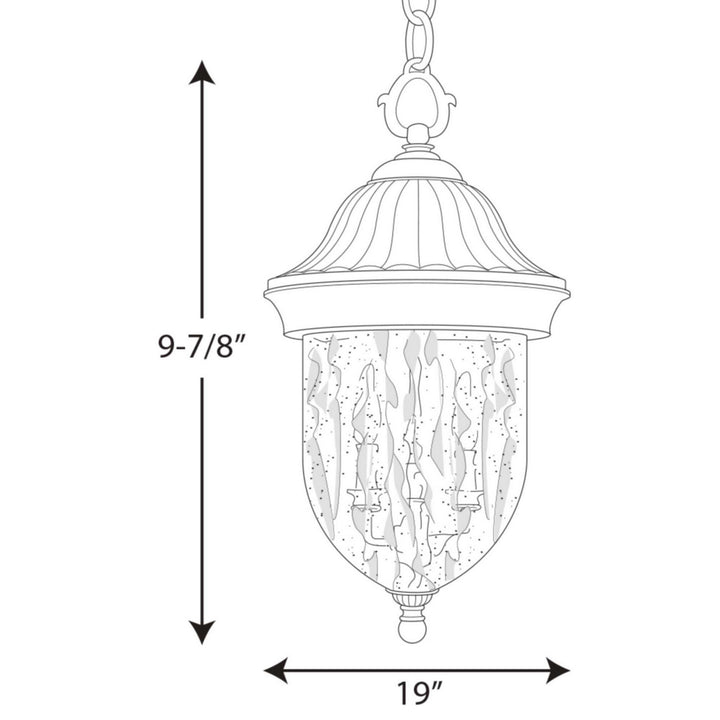 Progress Lighting P5529-31 Coventry Two Light Hanging Lantern Outdoor Black