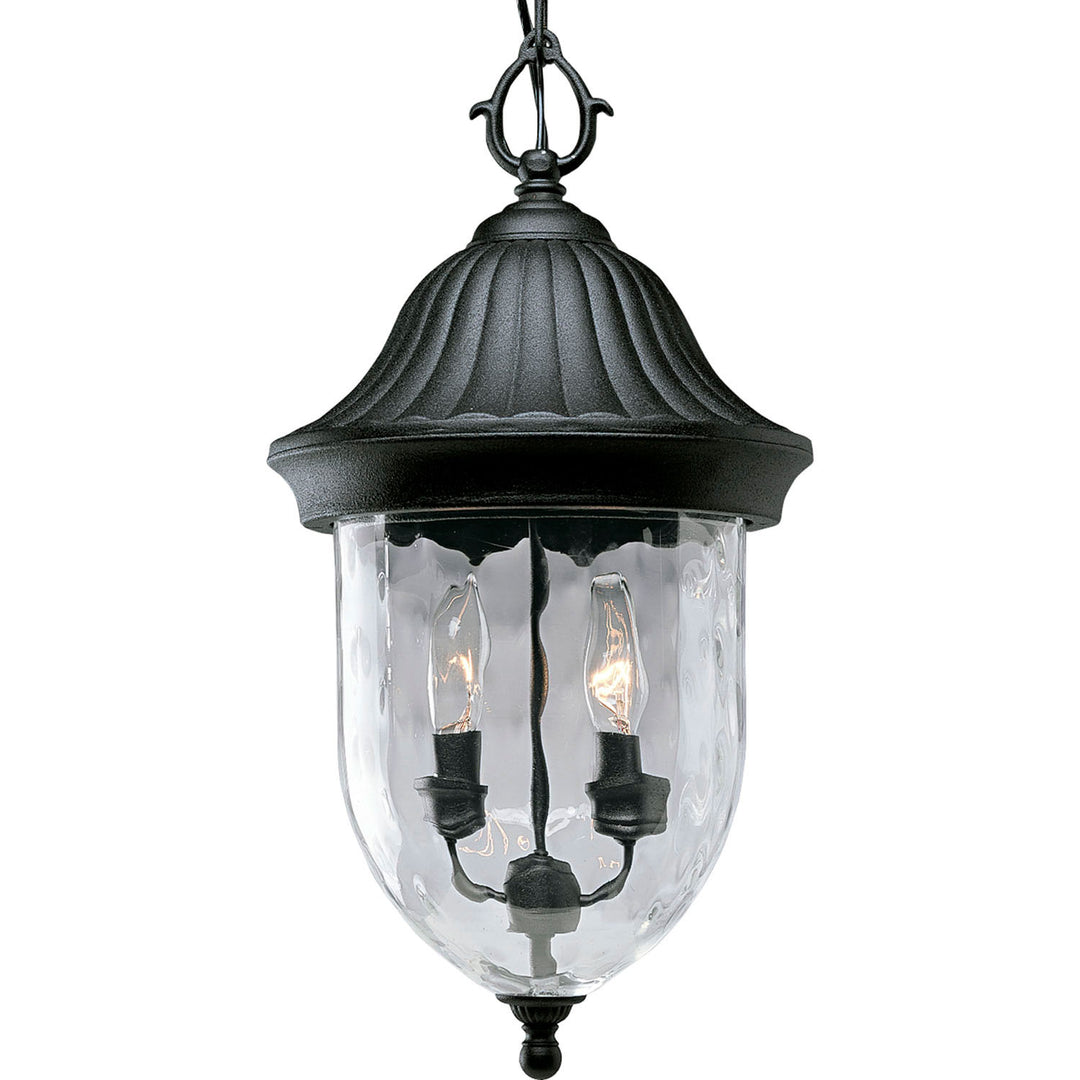 Progress Lighting P5529-31 Coventry Two Light Hanging Lantern Outdoor Black