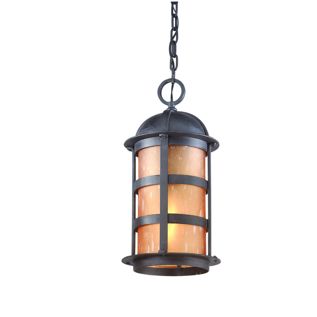 Troy Lighting F9255NB  Aspen Outdoor Natural Bronze