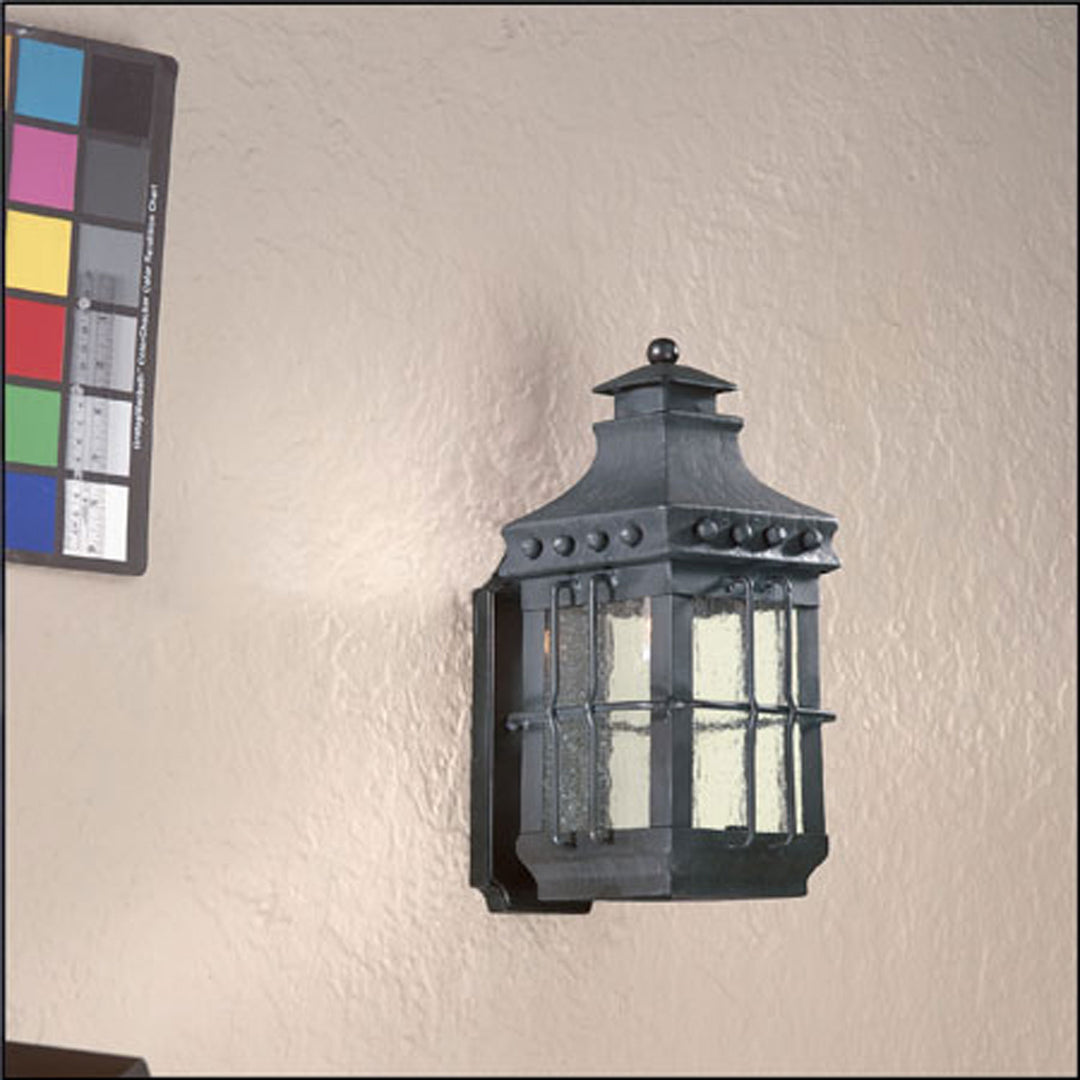 Troy Lighting B8970-TBK  Dover Outdoor Natural Bronze