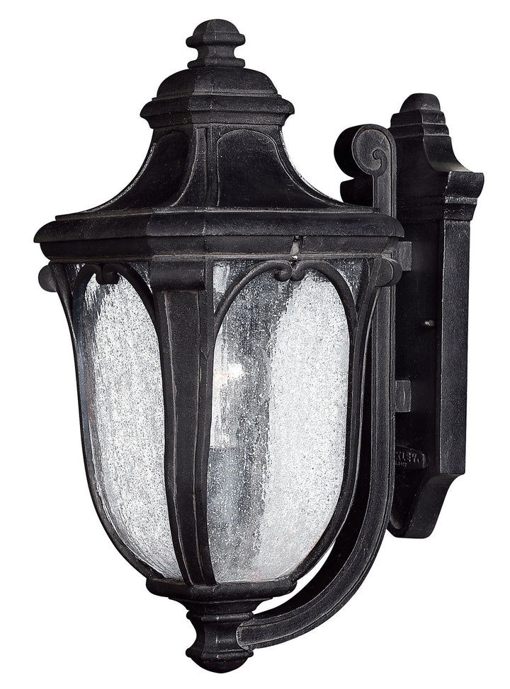 Hinkley Lighting 1314MB  Trafalgar Outdoor Museum Black