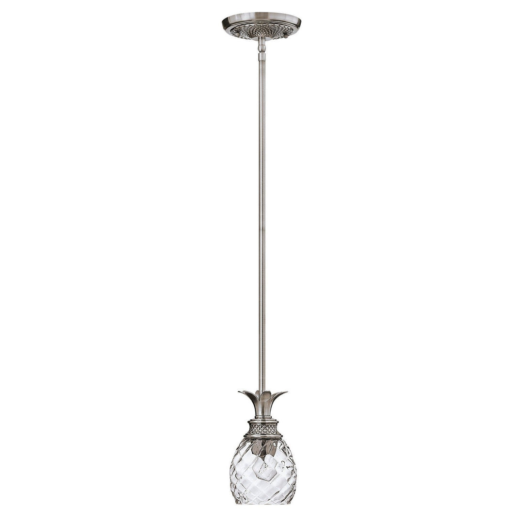 Hinkley Plantation 5317PL Pendant Light - Polished Antique Nickel