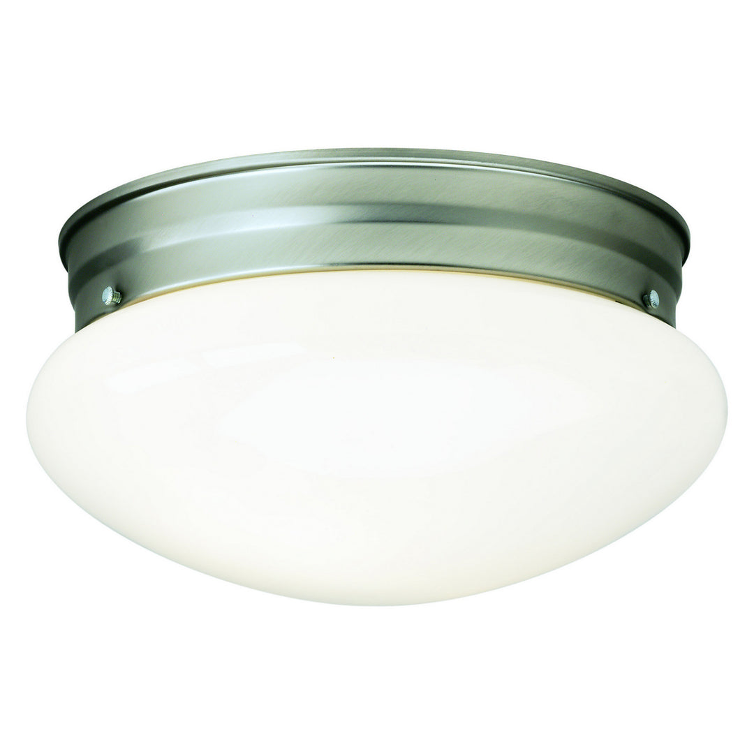 Forte 6002-01-55 Ceiling Light - Brushed Nickel
