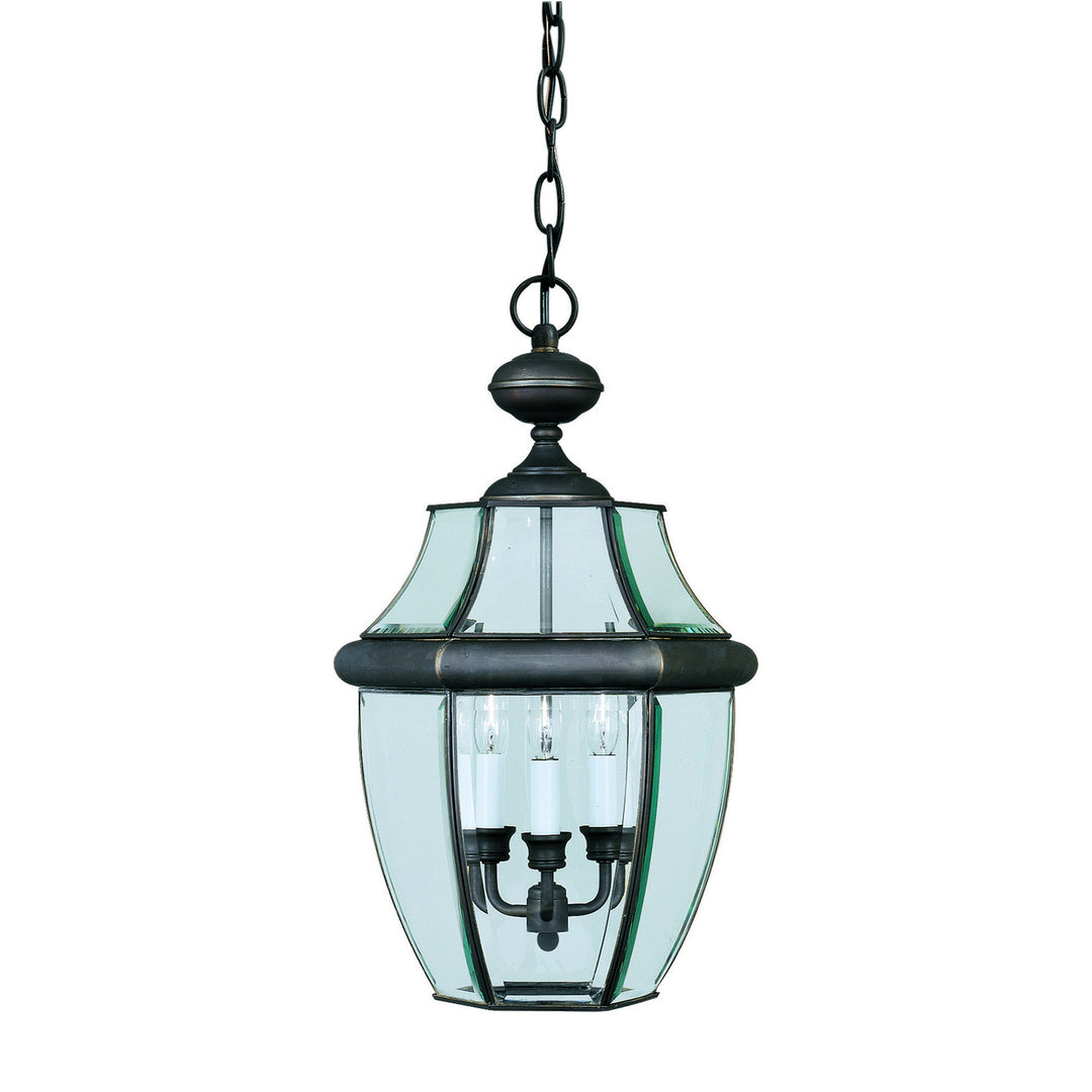 Forte Lighting 1605-03-14  Three Light Outdoor Pendant Outdoor Bronze / Dark