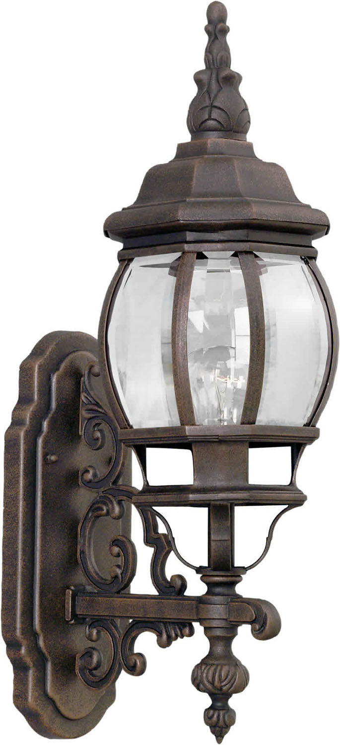 Forte Lighting 1701-01-28 Painted Rust A One Light Outdoor Lantern Outdoor Bronze / Dark