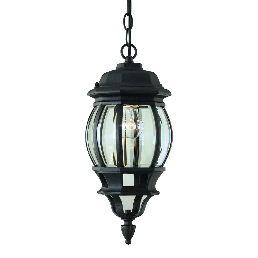 Forte Lighting 1702-01-04  One Light Outdoor Pendent Outdoor Black