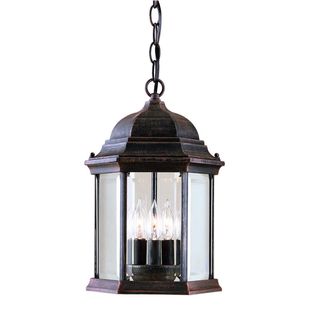 Forte Lighting 1711-03-28  Three Light Outdoor Pendant Outdoor Bronze / Dark
