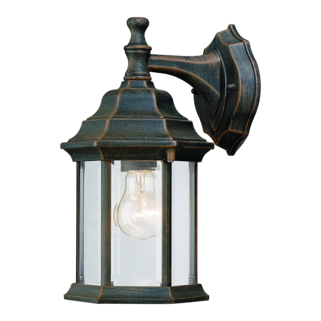 Forte Lighting 1715-01-28  One Light Outdoor Lantern Outdoor Bronze / Dark