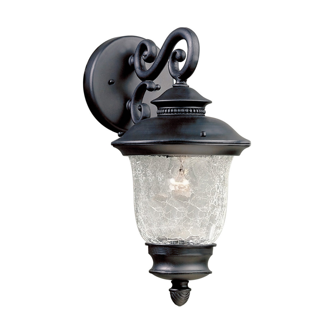Forte Lighting 1726-01-04  One Light Outdoor Lantern Outdoor Black