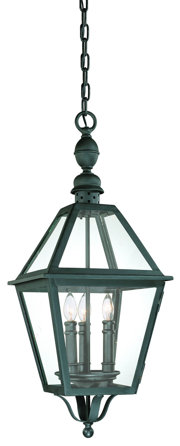 Troy Lighting F9627NB  Townsend Outdoor Natural Bronze