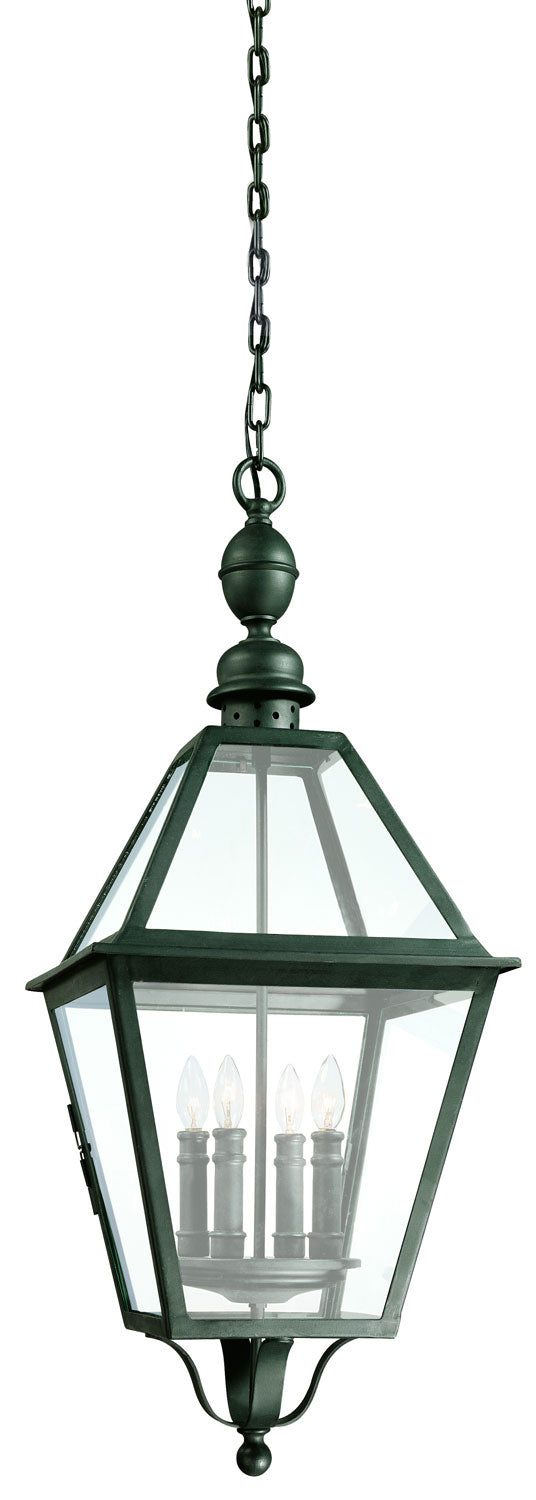 Troy Lighting F9628NB  Townsend Outdoor Natural Bronze
