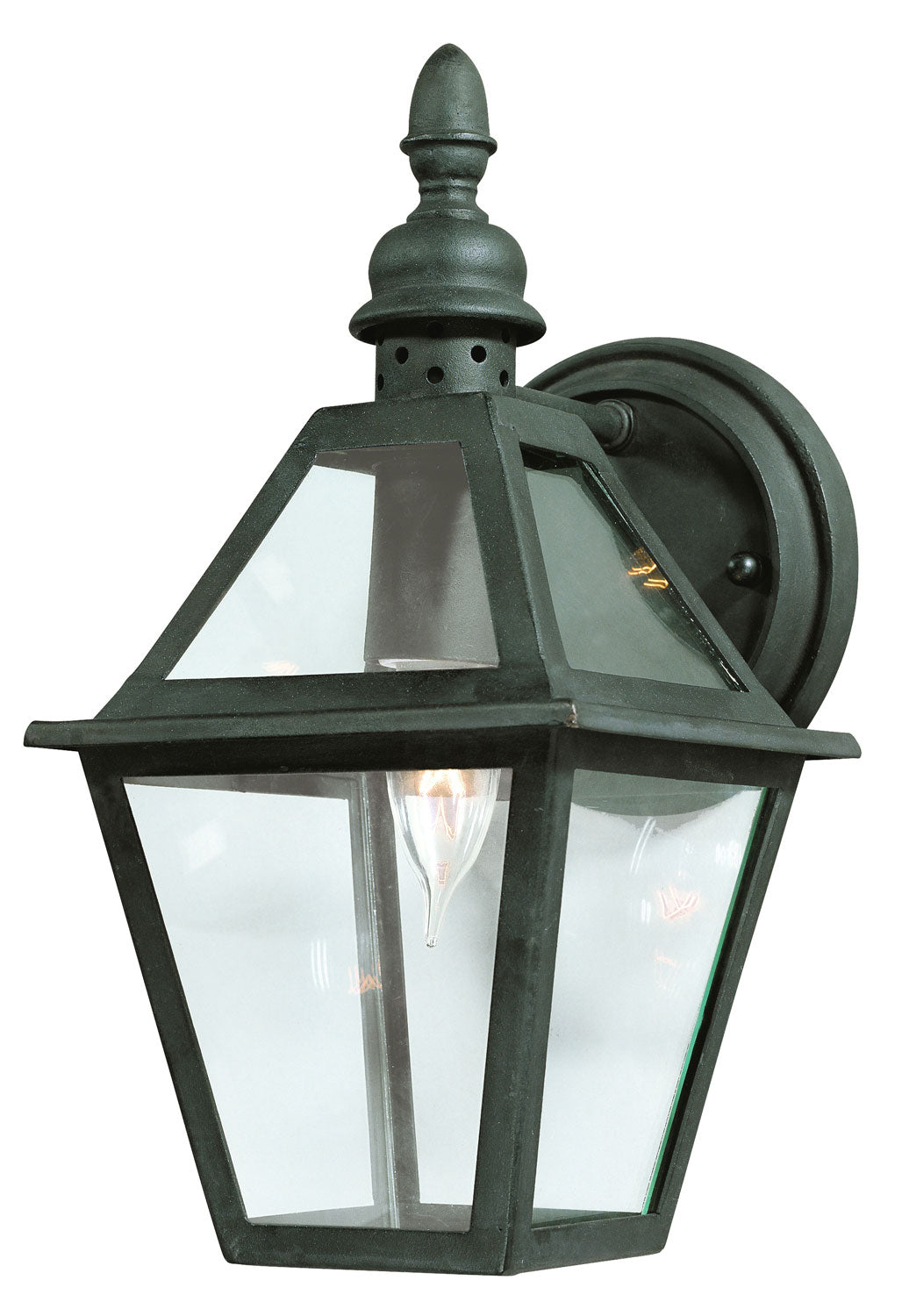 Troy Lighting B9620-TBK  Townsend Outdoor Natural Bronze