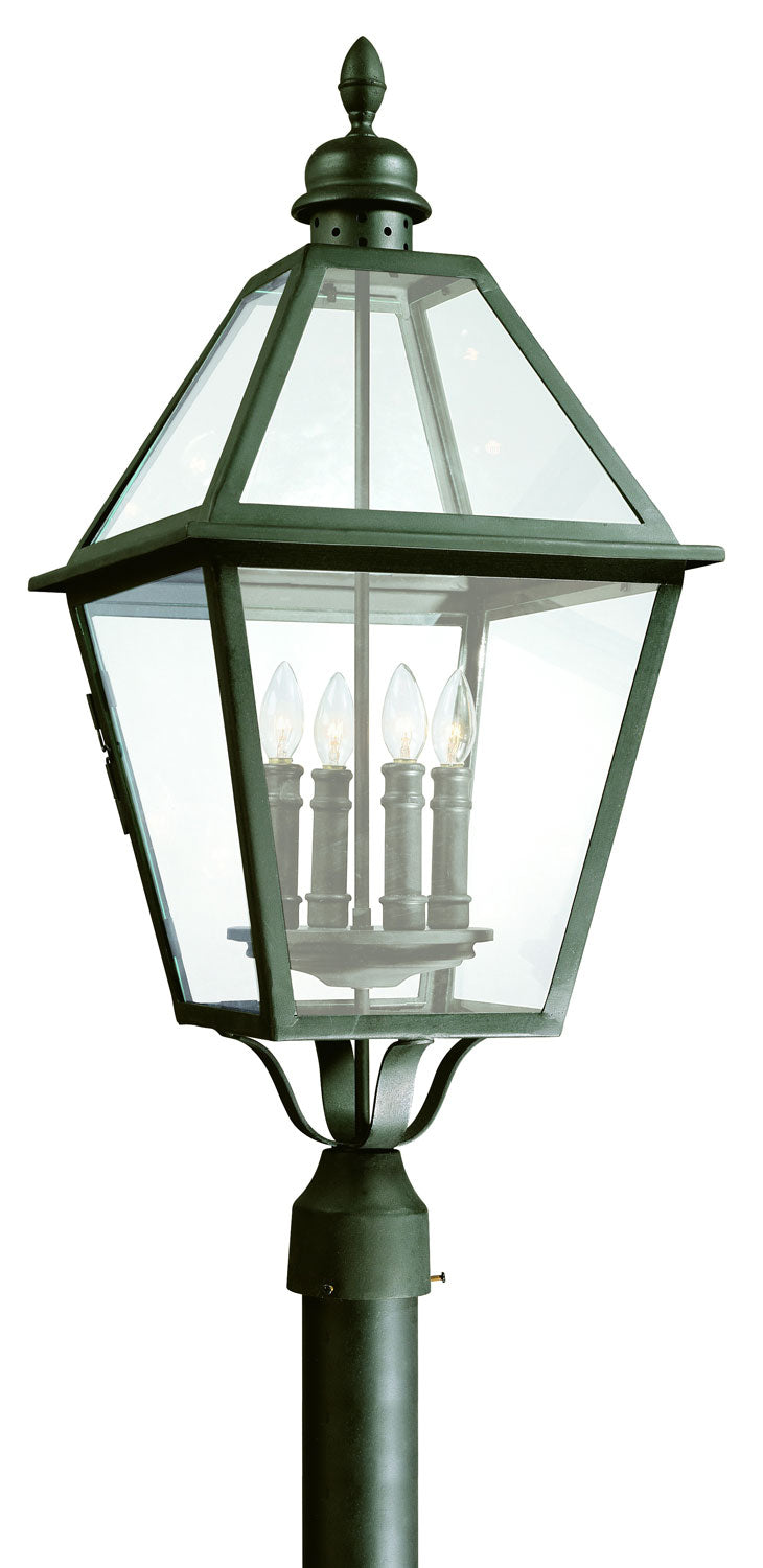 Troy Lighting P9626-TBK  Townsend Outdoor Natural Bronze