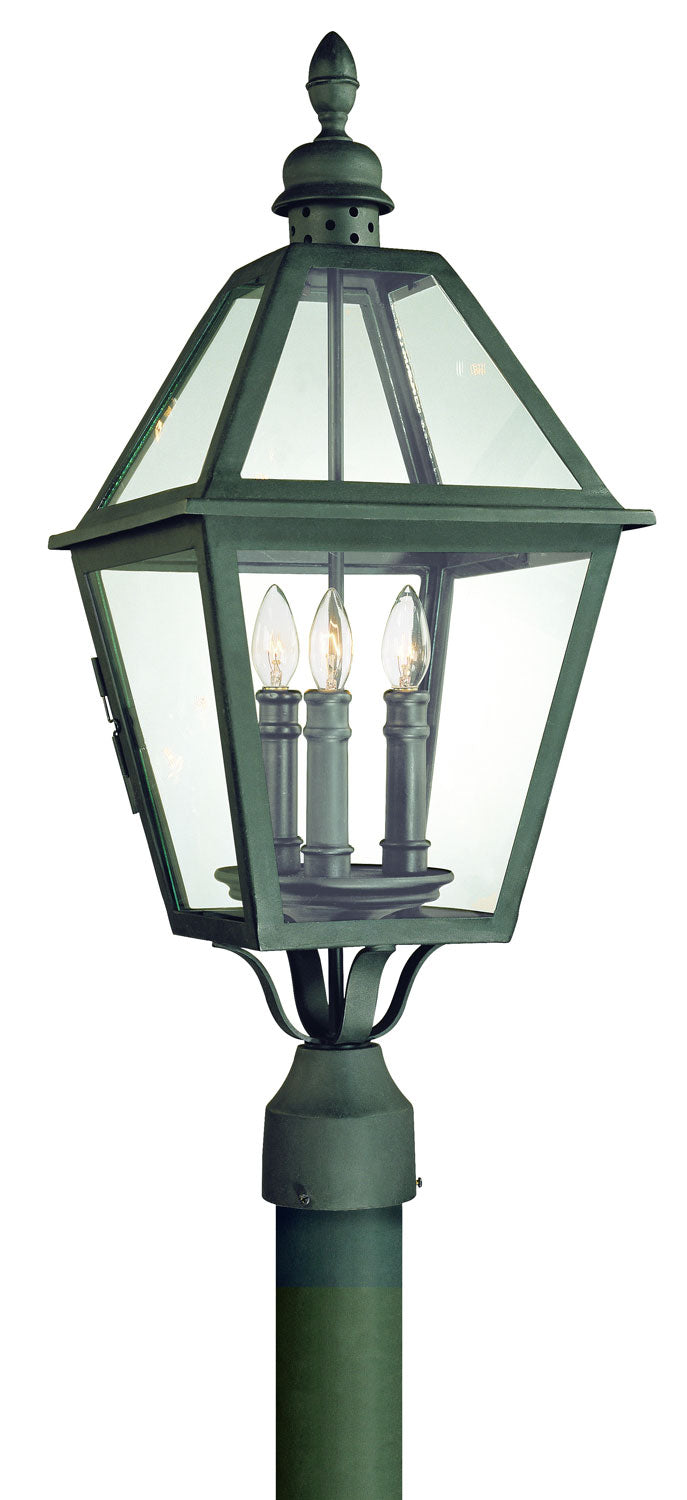 Troy Lighting P9625NB  Townsend Outdoor Natural Bronze