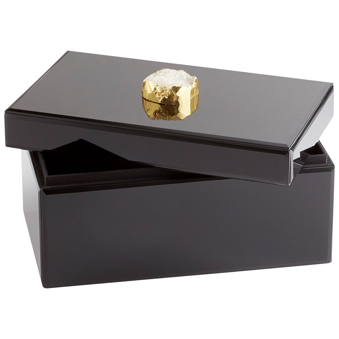 Cyan 10748 Containers & Trays - Black