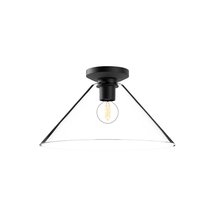 Alora Mood salem FM570314MBCL Ceiling Light - Clear Glass/Matte Black