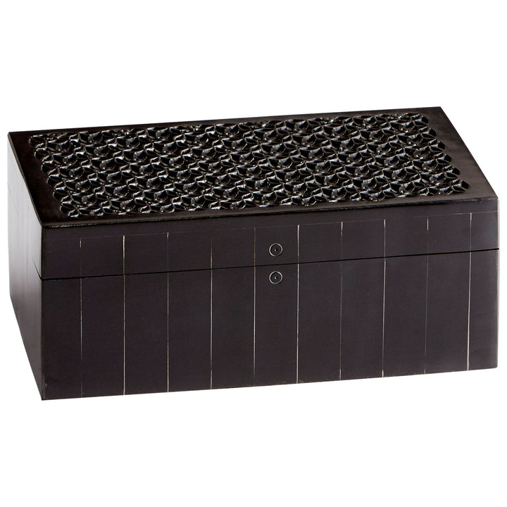 Cyan 09799 Containers & Trays - Black