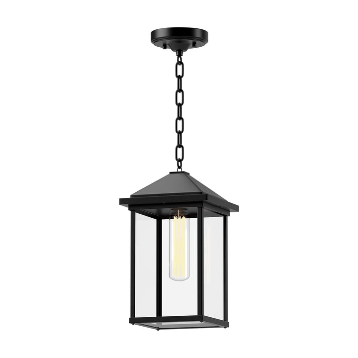 Alora Mood larchmont EP552009BKCL Pendant Light - Clear Glass/Textured Black