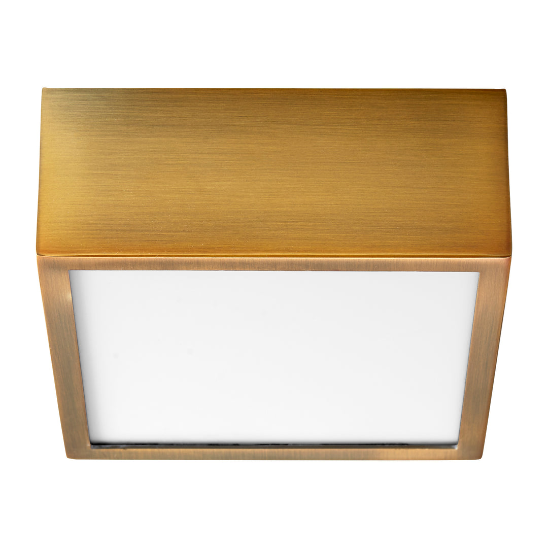 Oxygen  3-610-4040 Ceiling Light