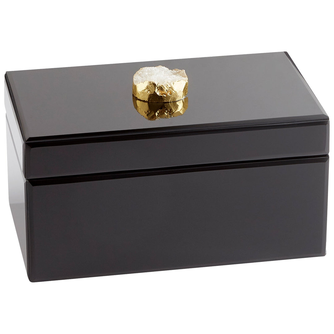 Cyan 10748 Containers & Trays - Black