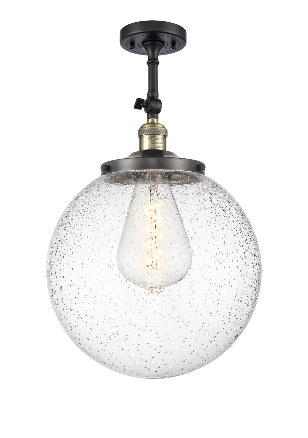 Innovations Franklin Restoration 201F-BAB-G204-14 Ceiling Light - Black Antique Brass