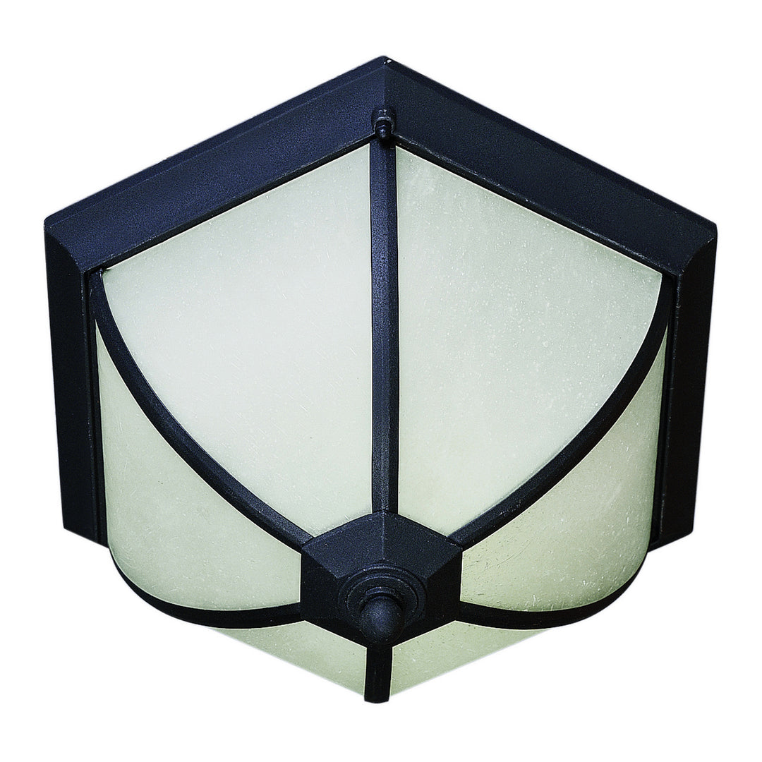 Forte Lighting 17007-02-04  Two Light Outdoor Flush Mount Outdoor Black