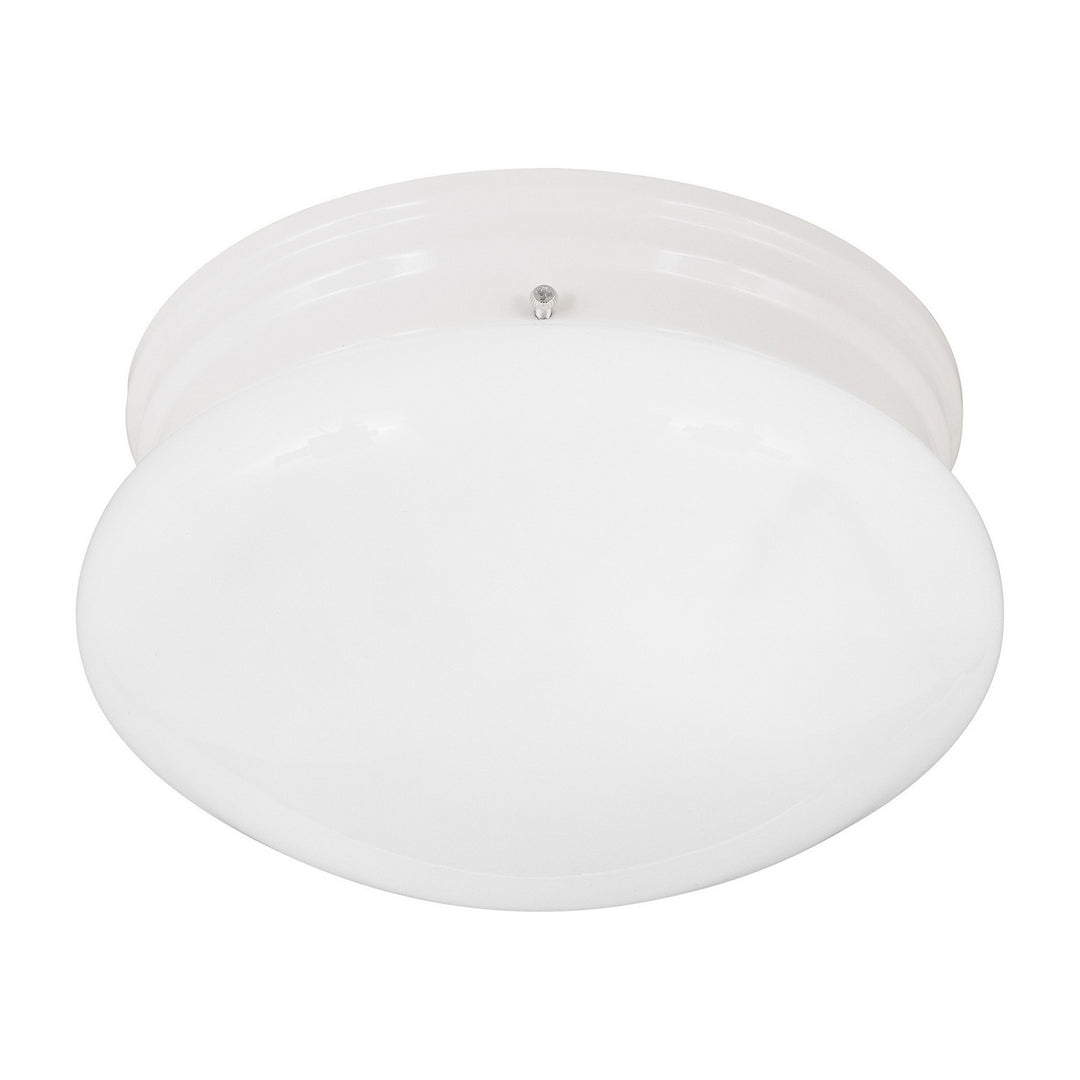 Forte 20010-01-03 Ceiling Light - White