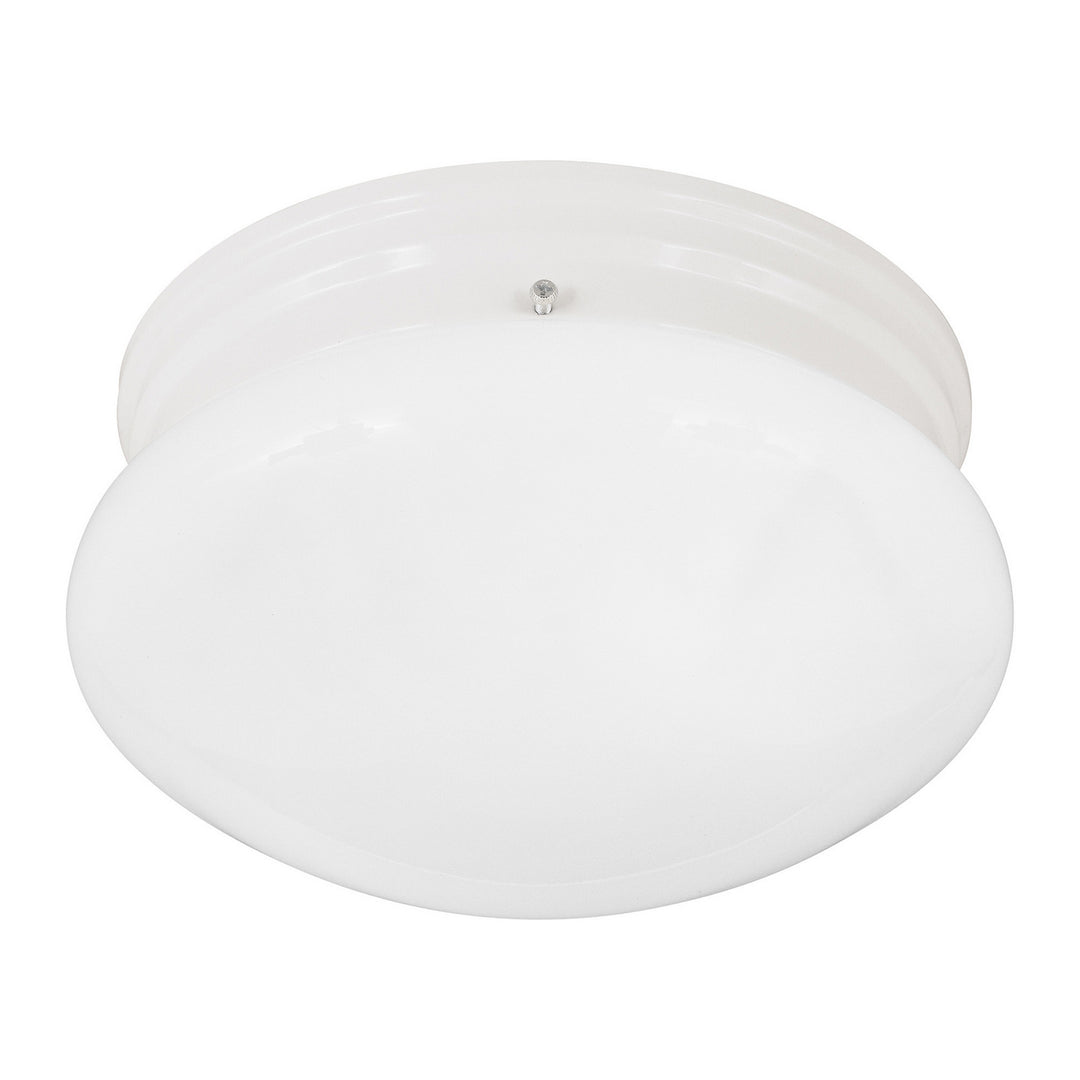 Forte 20011-01-03 Ceiling Light - White