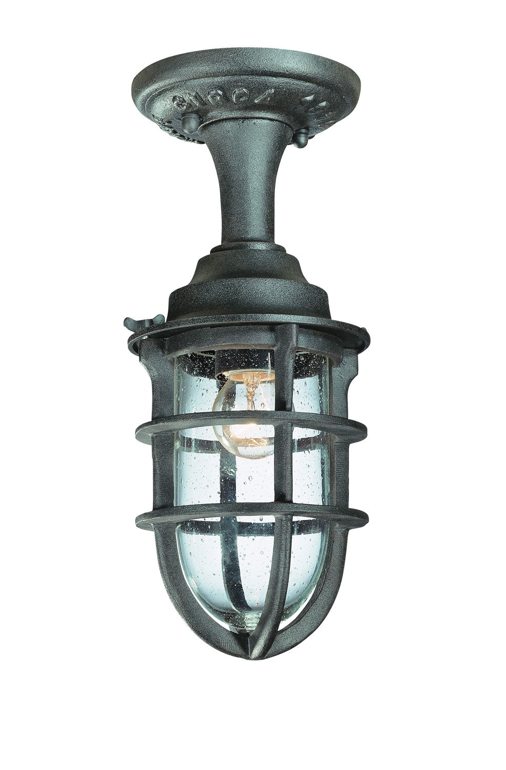 Troy Lighting C1863NR Wilmington Outdoor Natural Rust