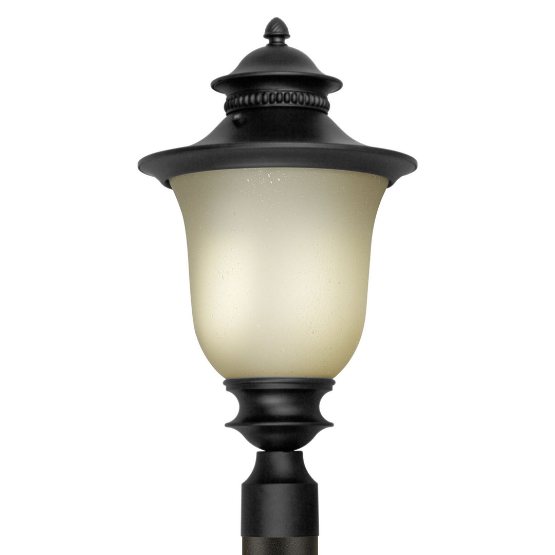 Forte Lighting 17031-01-04 Family Number 37 Black One Light Outdoor Post Mount Outdoor Black