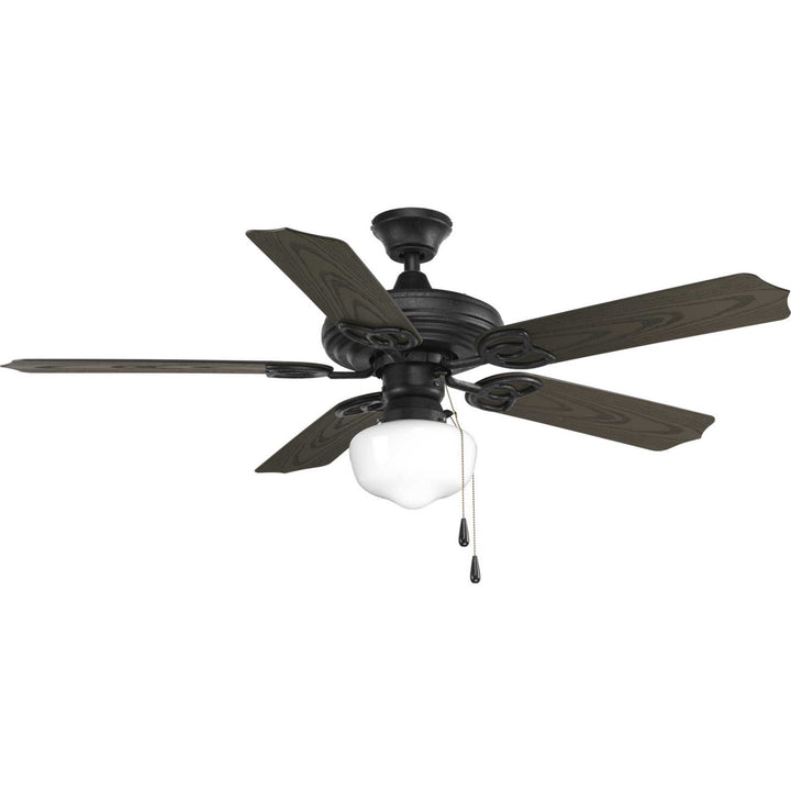 Progress Airpro P2502-80 Ceiling Fan - Forged Black, Toasted Oak/