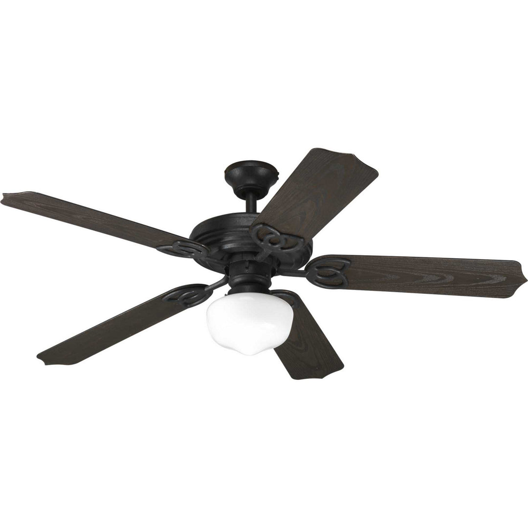 Progress Airpro P2502-80 Ceiling Fan - Forged Black, Toasted Oak/