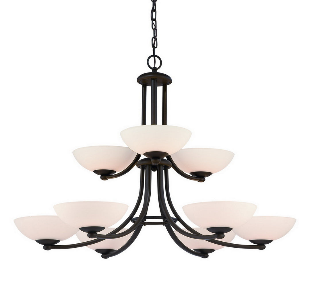 Dolan Designs Rainier 2902-78 Chandelier Light - Bolivian