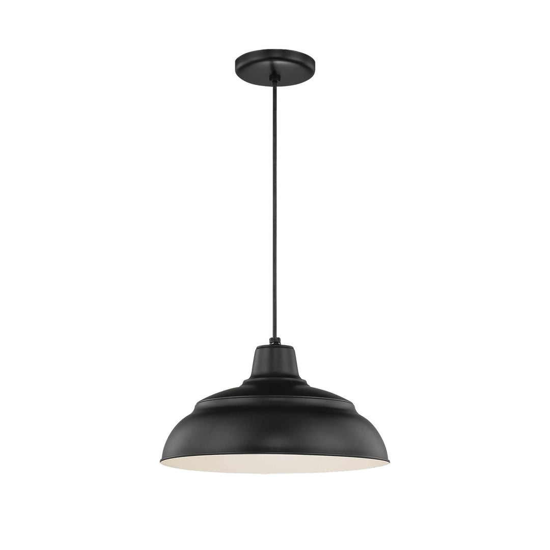 Millennium R Series RWHC14-SB Pendant Light - Satin Black