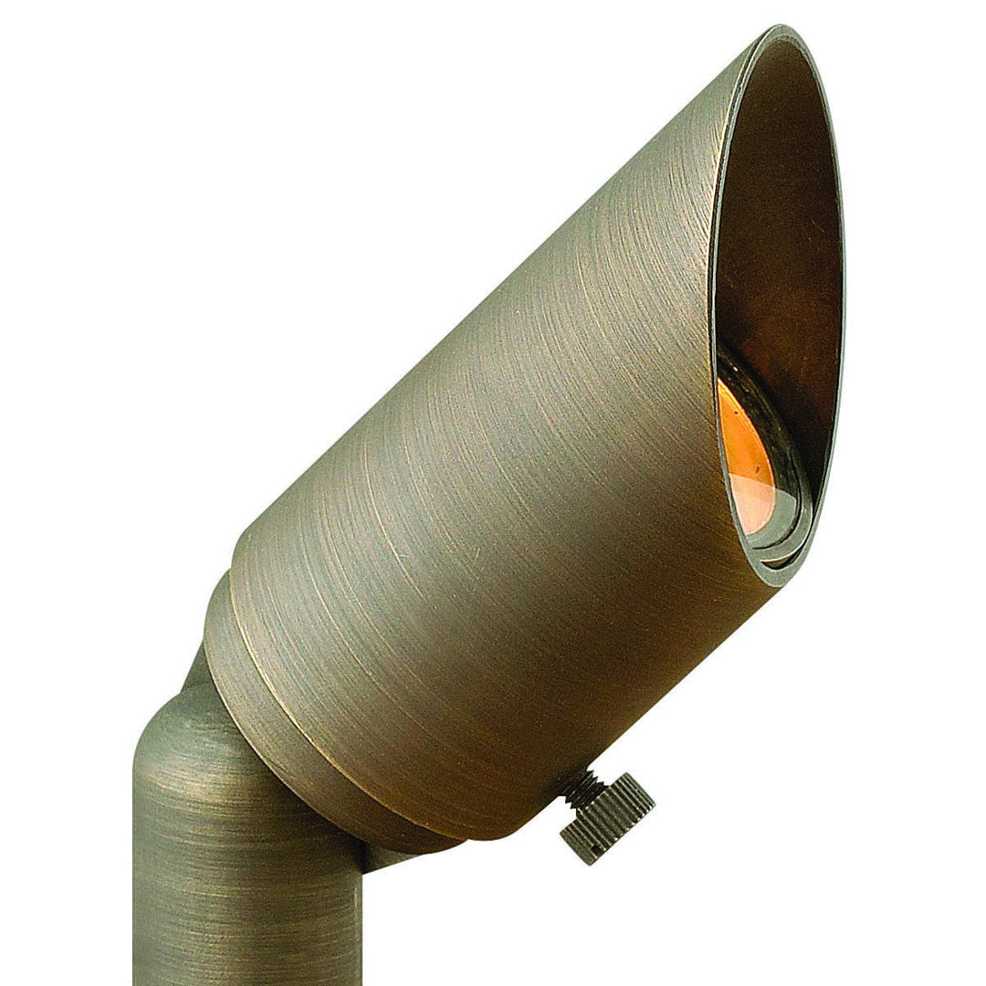 Hinkley Lighting 16501MZ Modern Hardy Island Mr11 Spot Light Landscape Light Matte Bronze