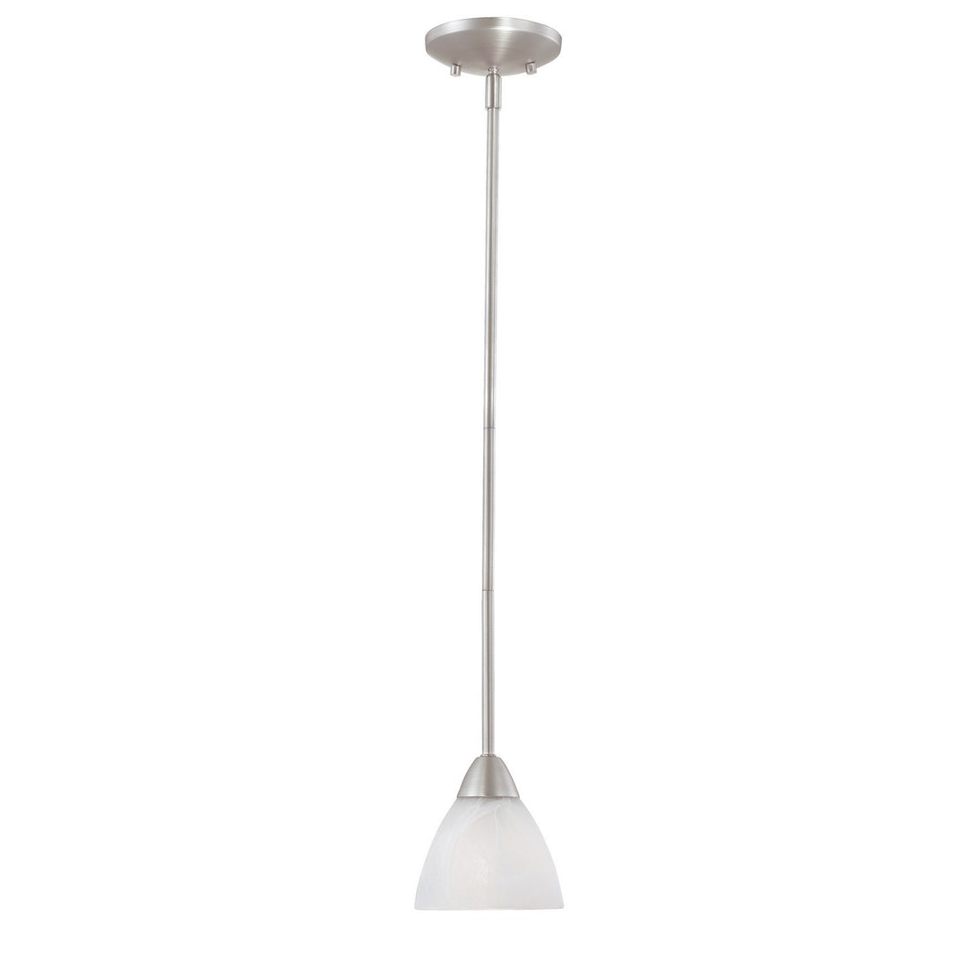 Elk Tia 190056117 Pendant Light - Matte Nickel